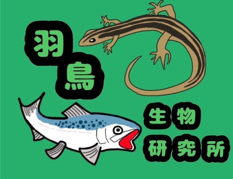 羽鳥生物研究所ロゴ